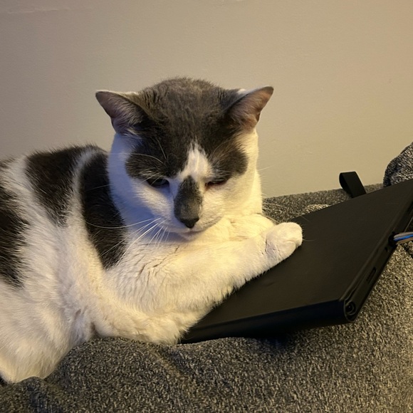 Like my flyer to be notified when I go live! - Picture 7 of 11